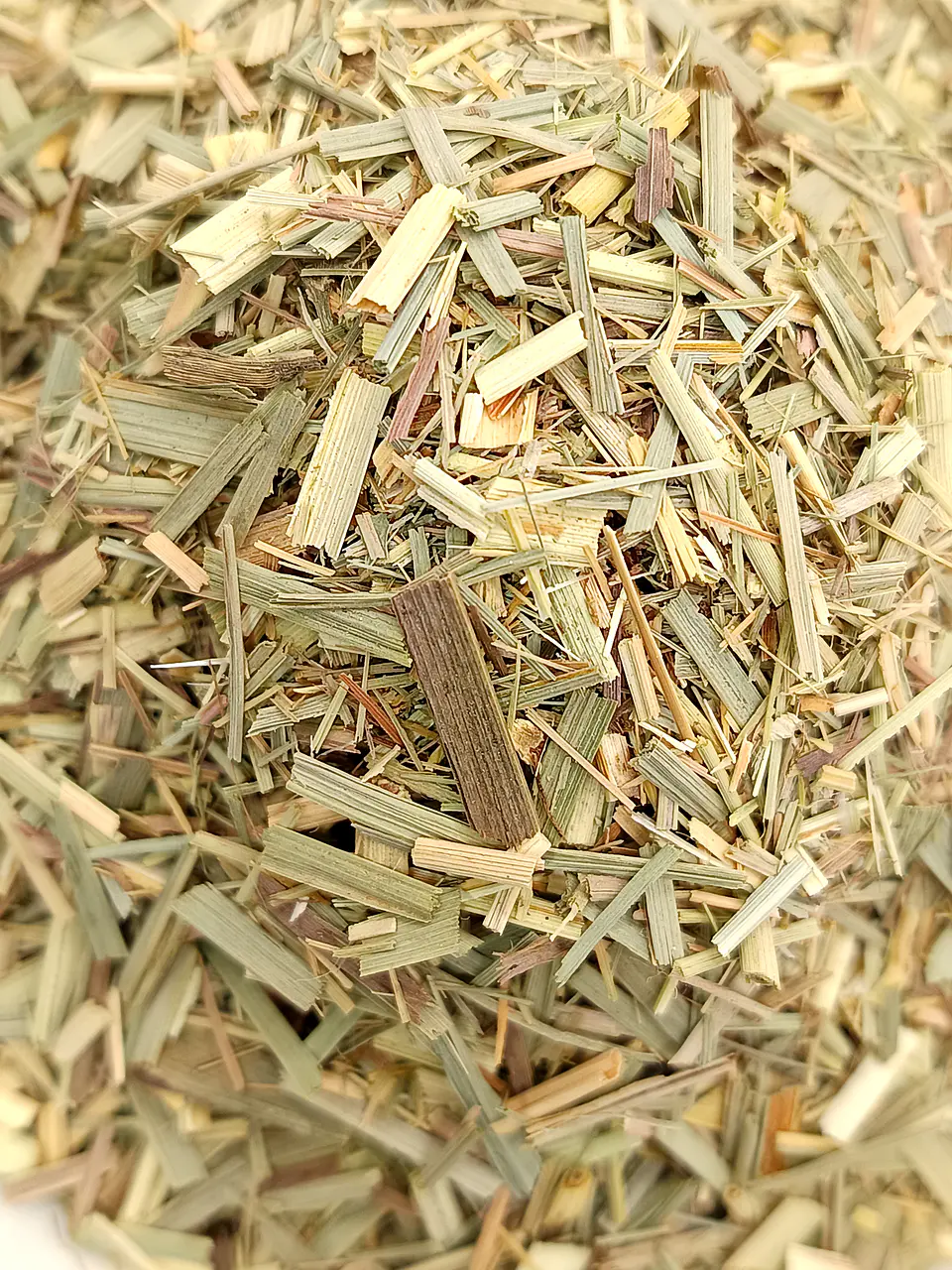 Erva-Príncipe, Folhas (Cymbopogon Citratus) - 40gr 5