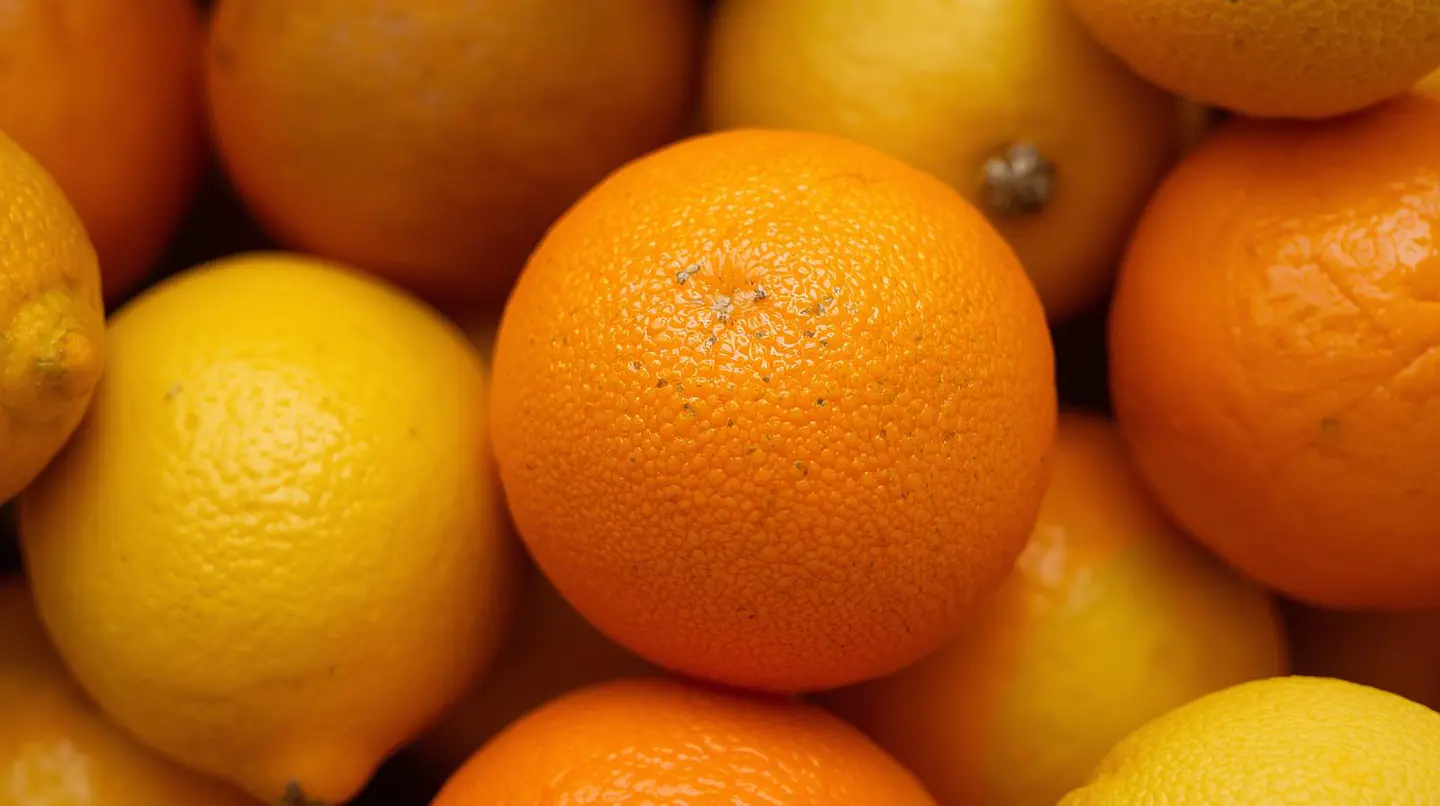 Loção Corporal c/ Vitamina C - Laranja e Limão 250ml 6