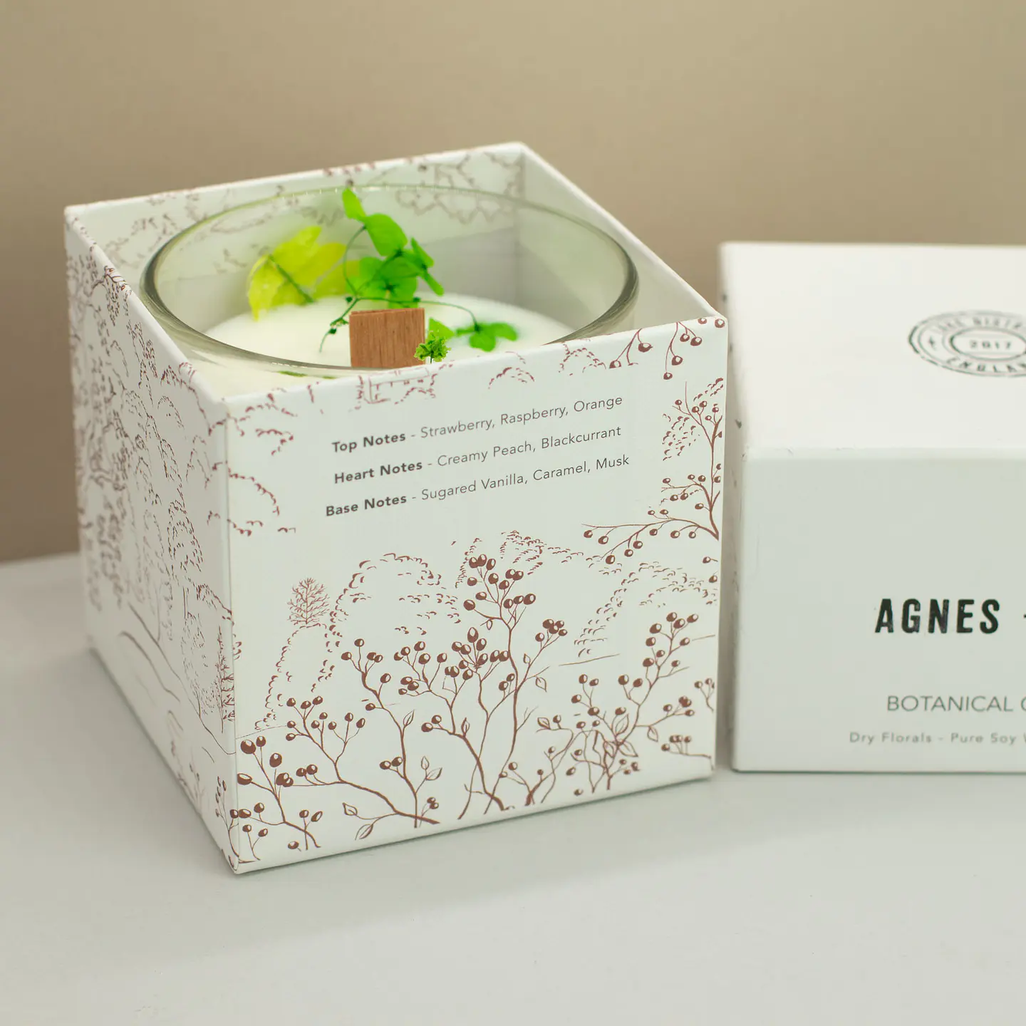 Vela Botânica de Cera de Soja Agnes + Cat - Fellberry 350gr 4