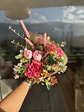 Colección Bloom N°3 - Miniatura 1