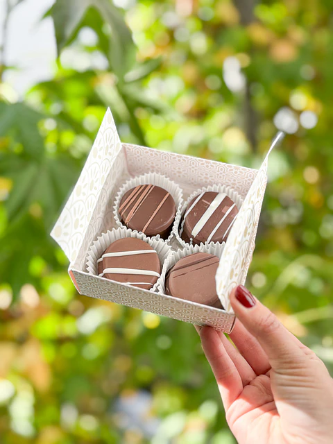 Caja 4 Mini Alfajores