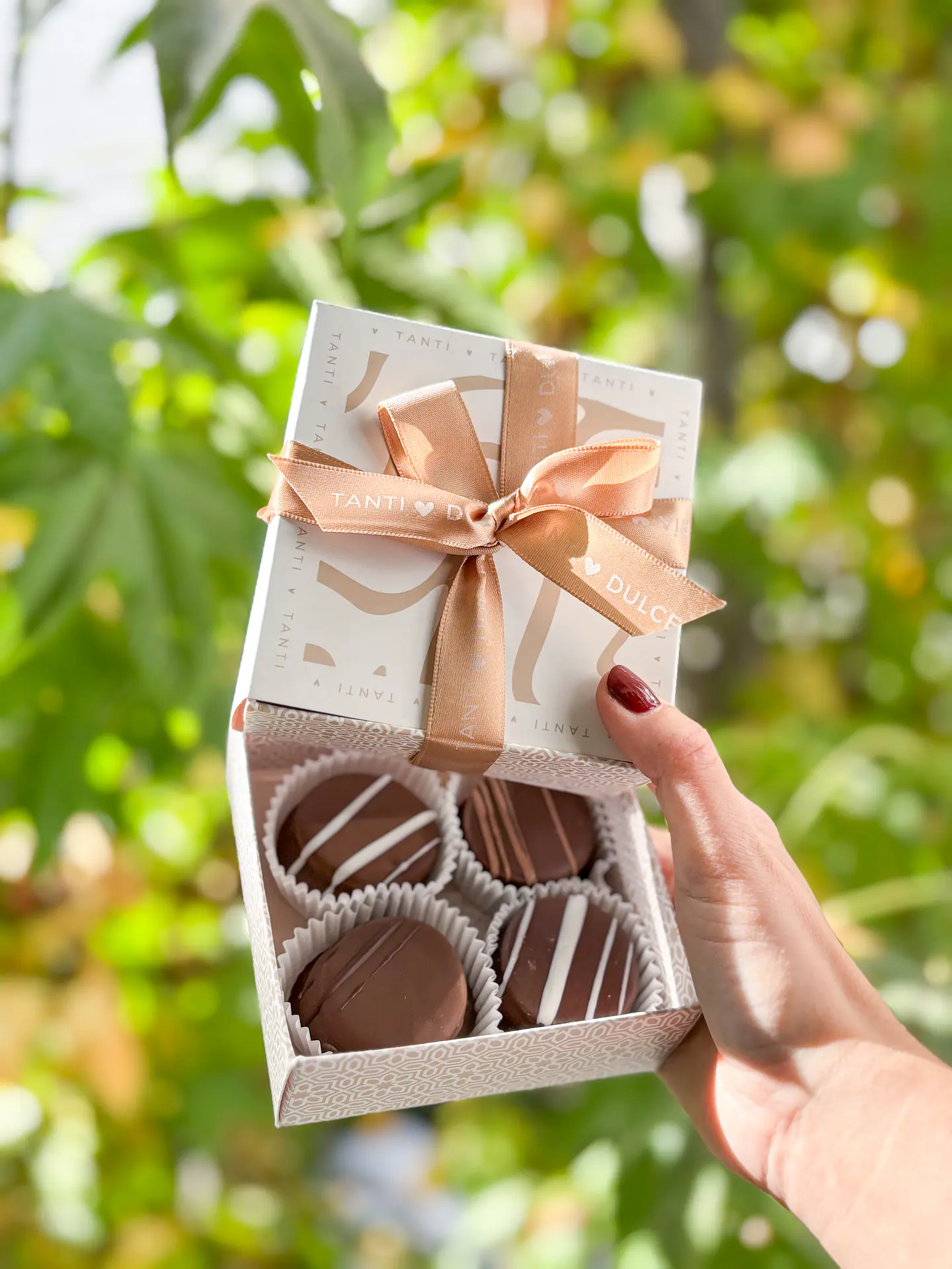 Caja 4 Mini Alfajores 3