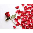 Invisible a los Ojos 2