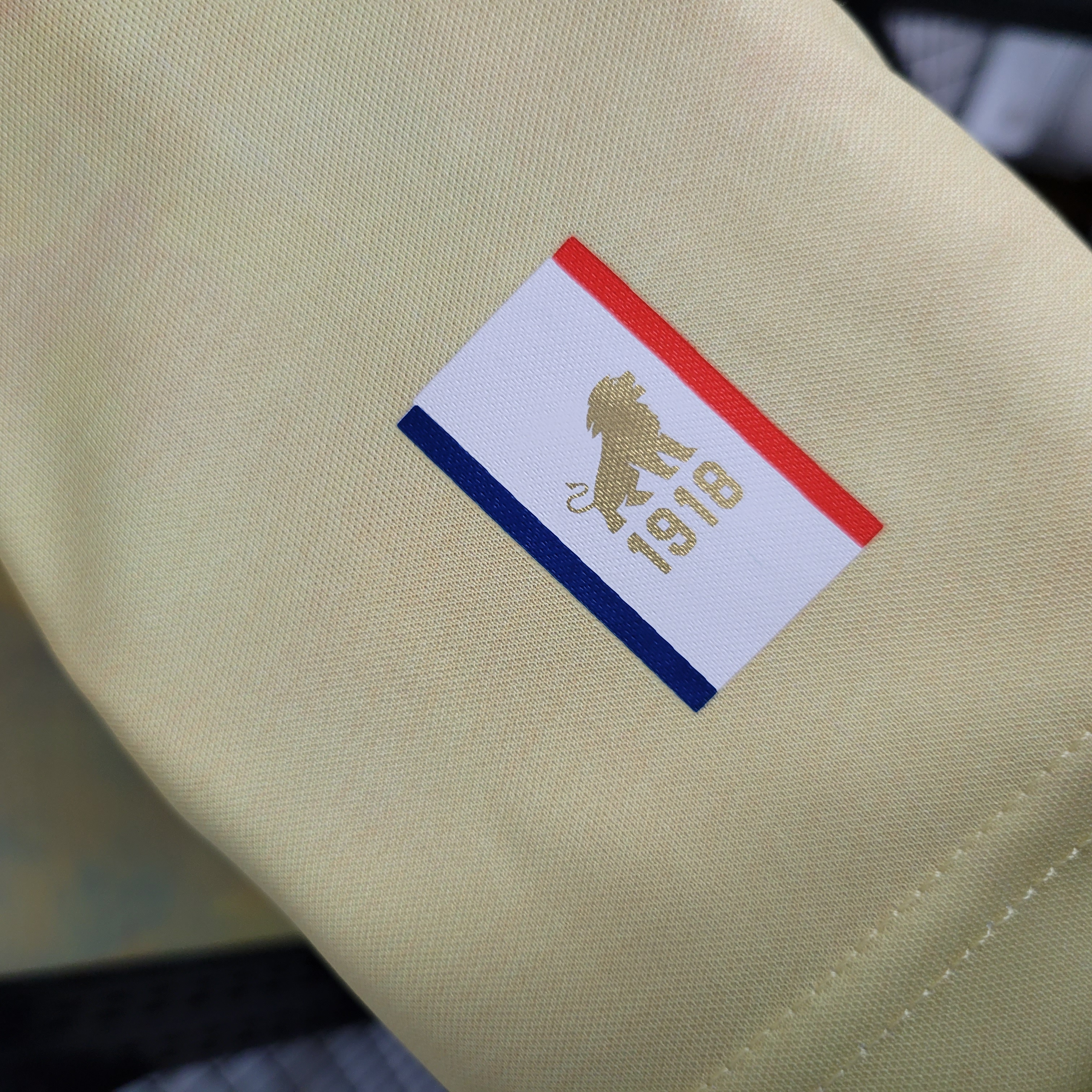 FORTALEZA EDIÇÃO ESPECIAL 23/24 6