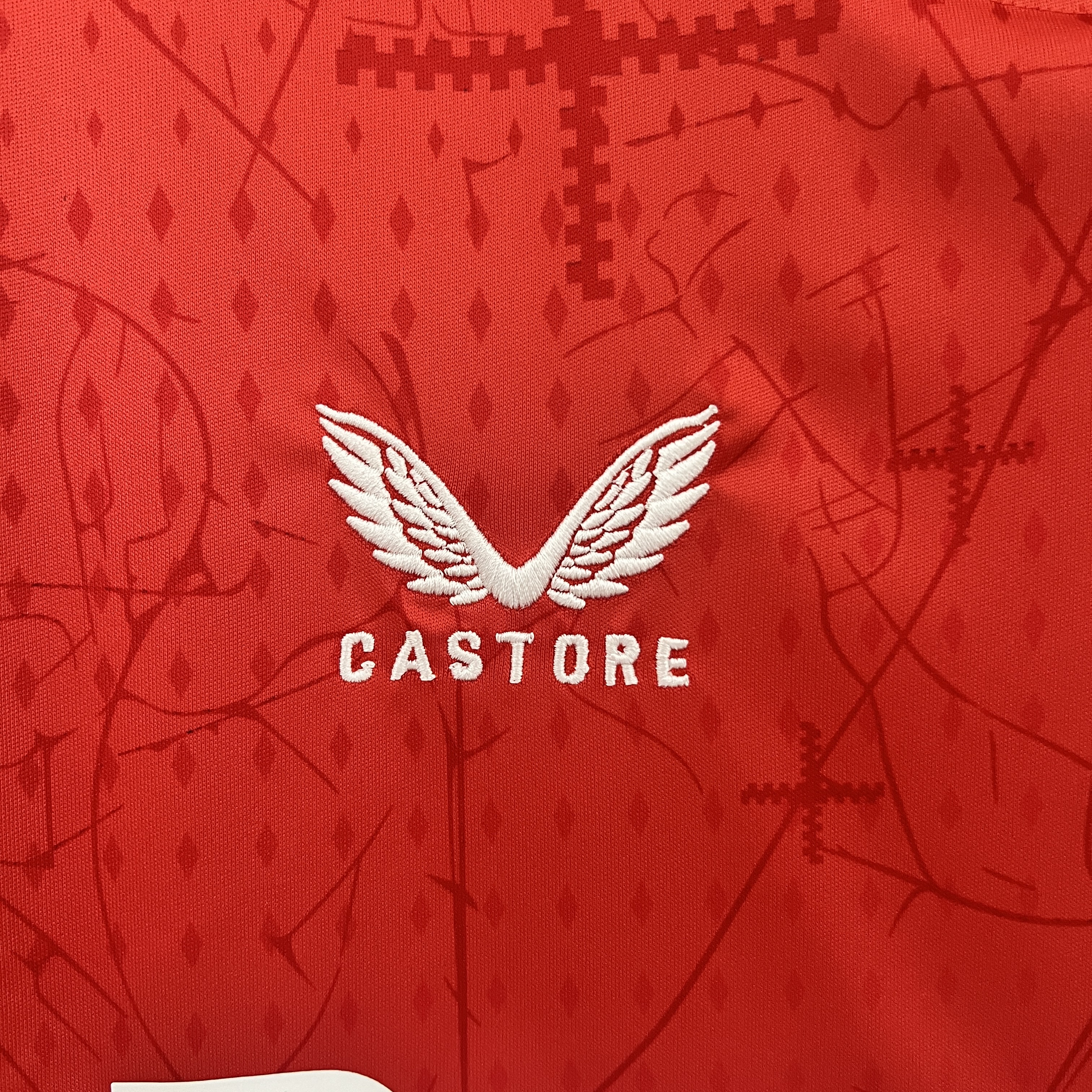 BAYER LEVERKUSEN HOME 24-25 VERMELHA E PRETA 4