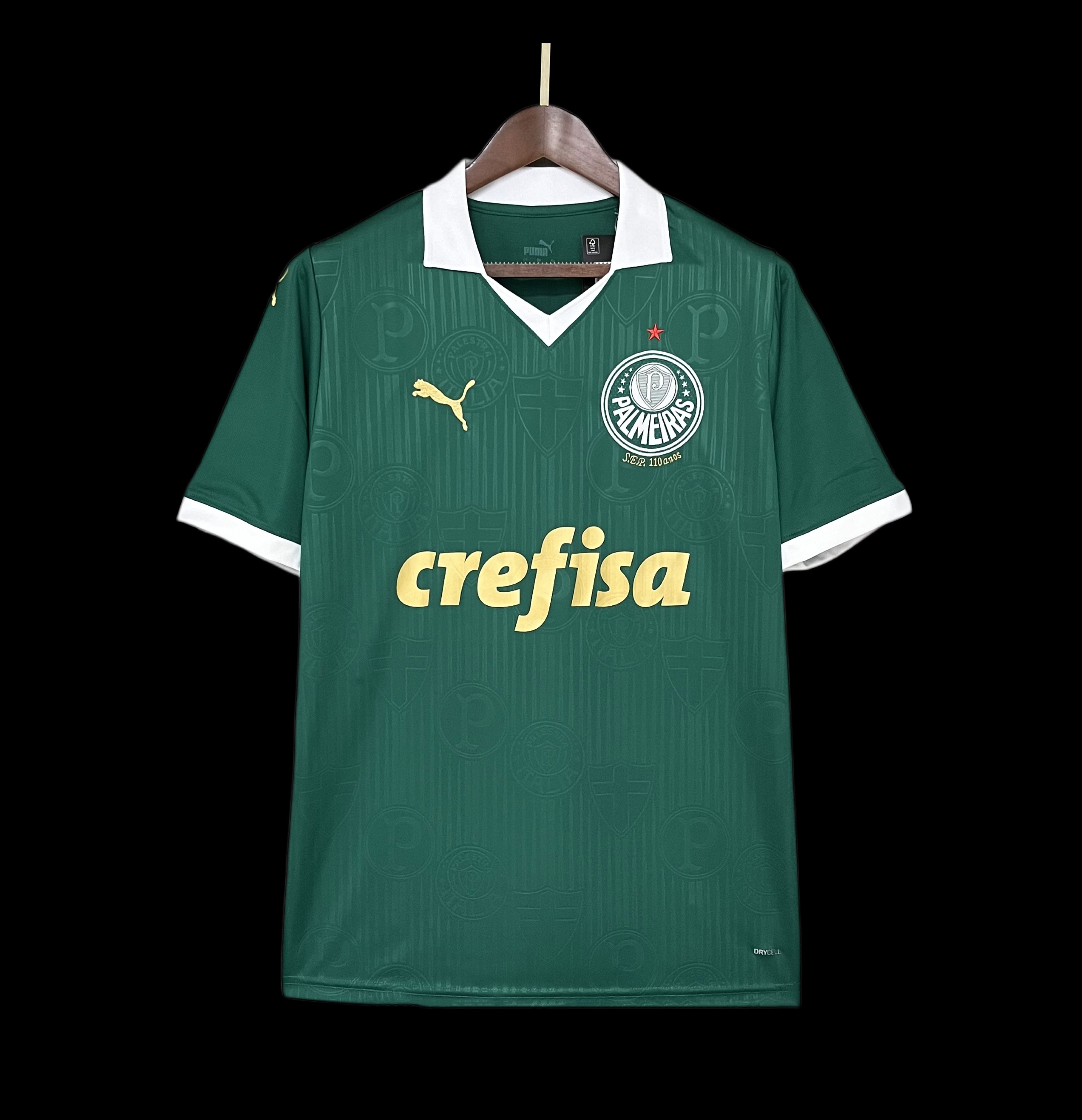 PALMEIRAS HOME KIT 24-25 TORCEDOR VERDE 1