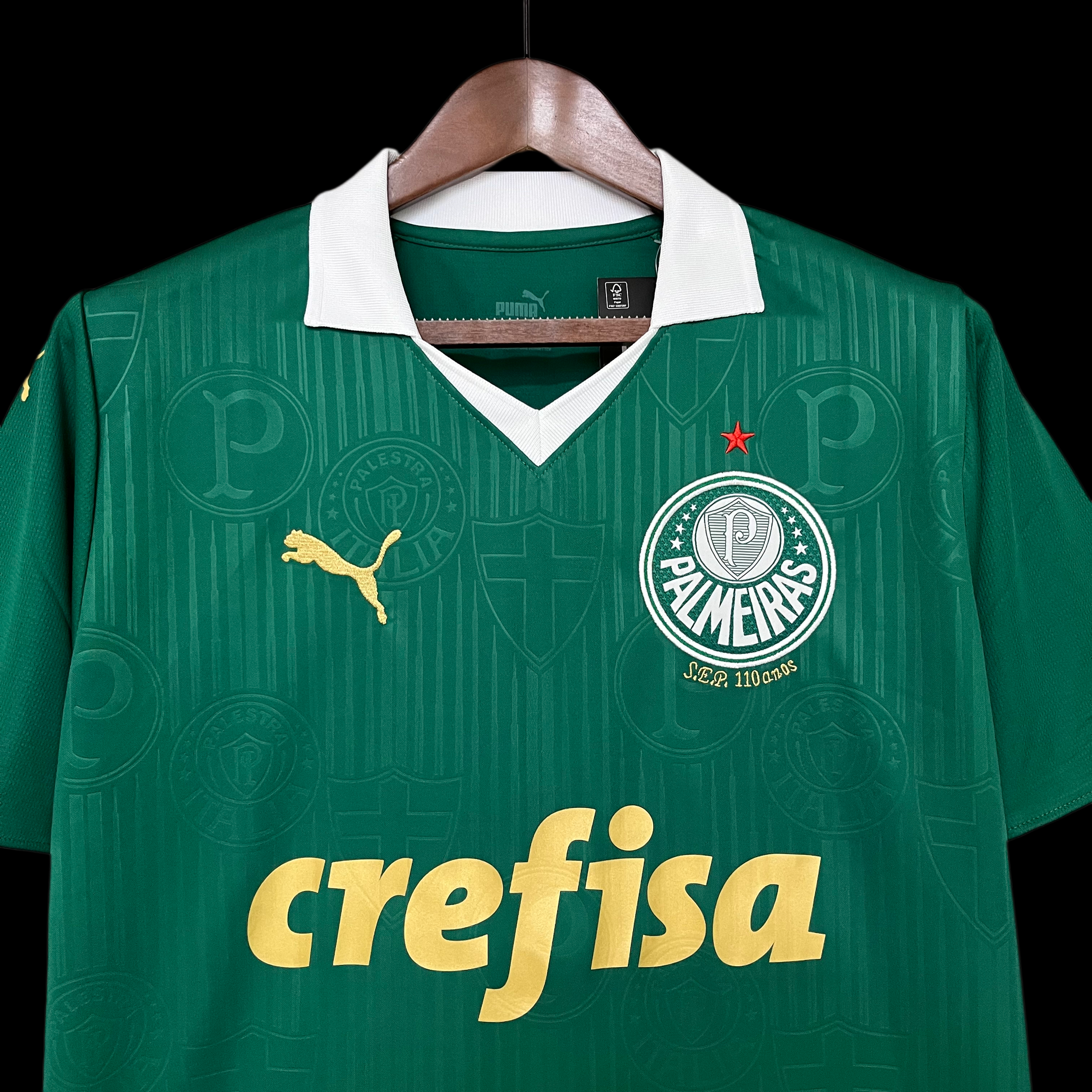 PALMEIRAS HOME KIT 24-25 TORCEDOR VERDE 4