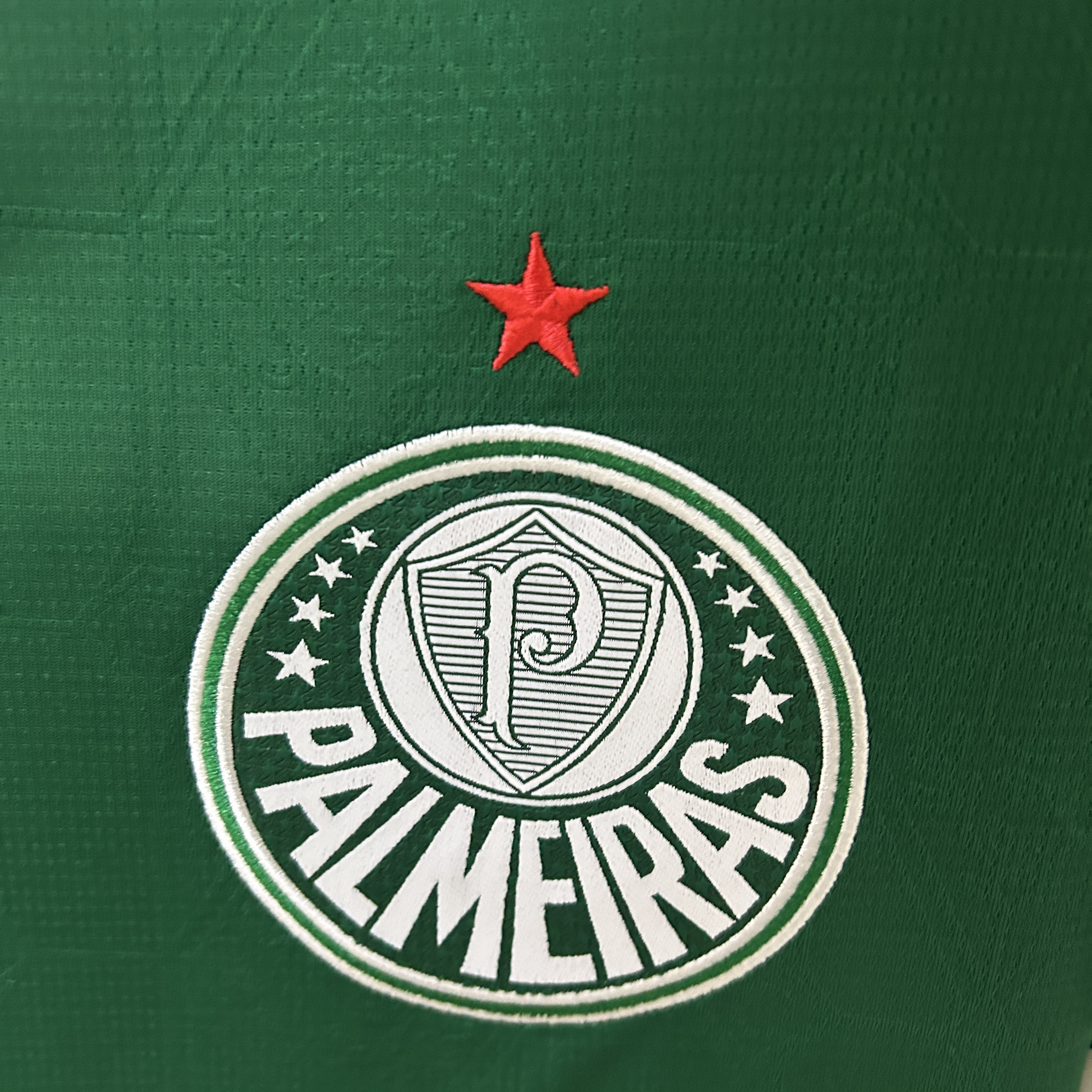 Camisola Palmeiras Principal 25/26 - Verde 2