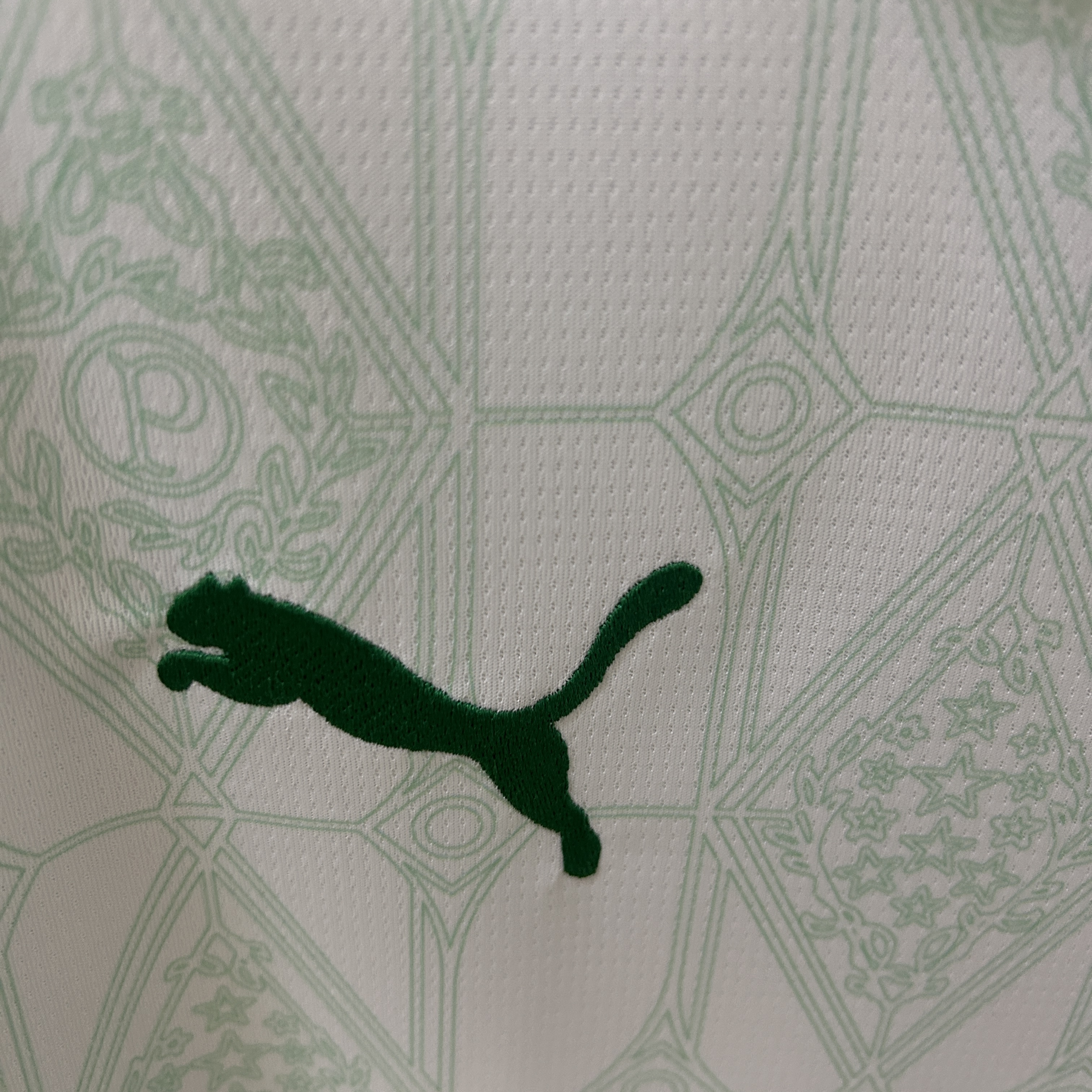 Camisola Palmeiras Alternativa 25/26 - Branca 8