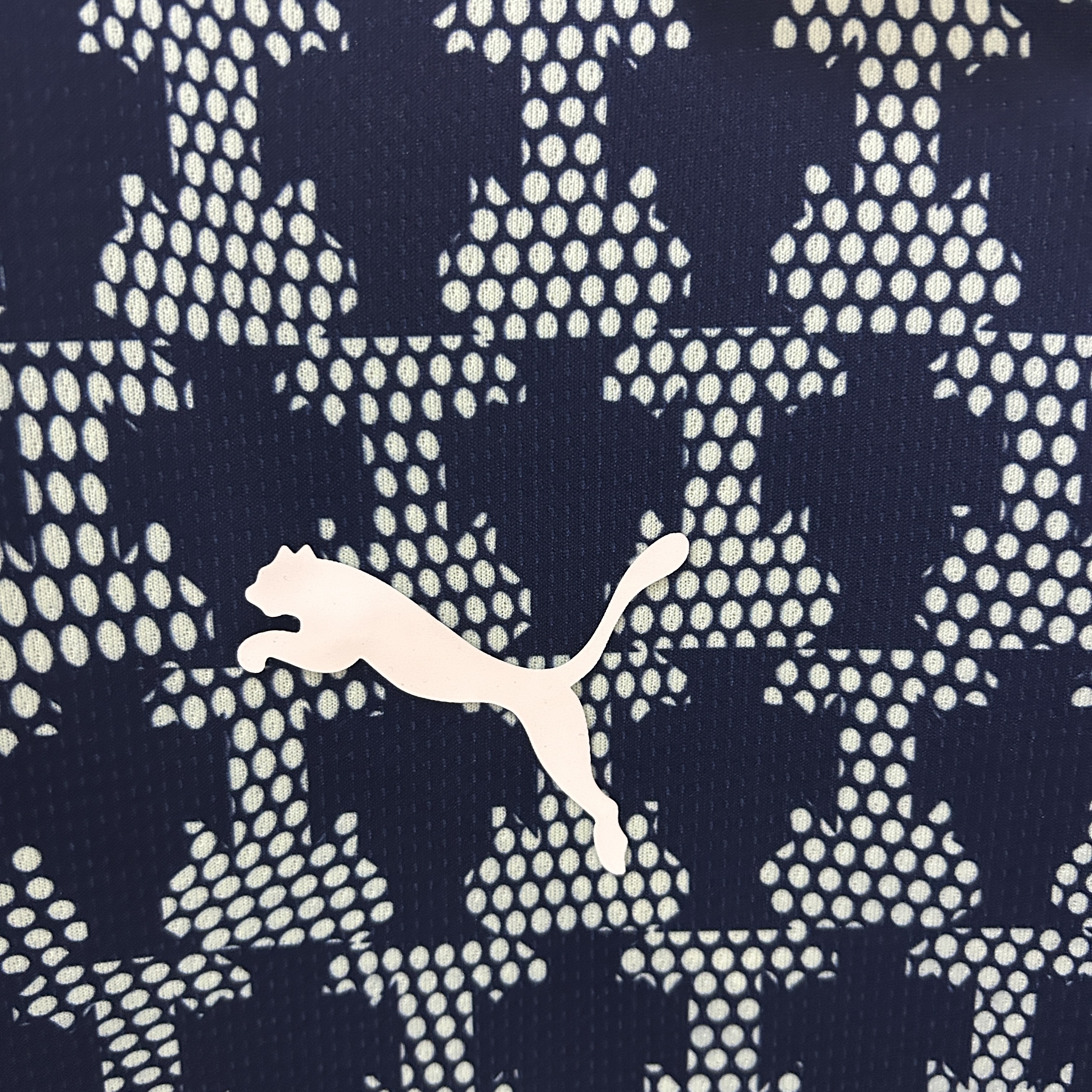 Camisola Portugal 2024/25 Edição Especial 5