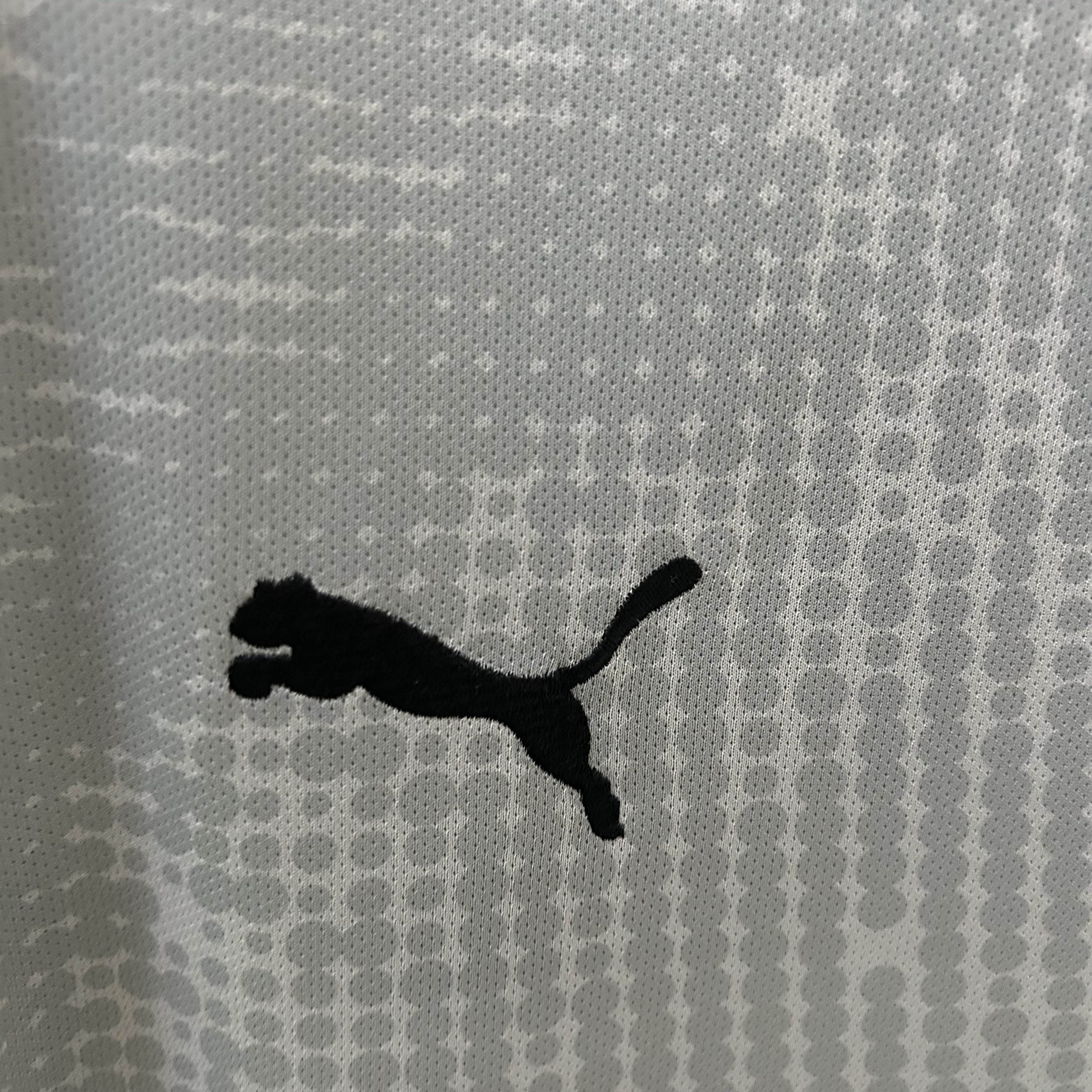 Camisola Portugal Guarda Redes Alternativa 25/26 - Cinza 2