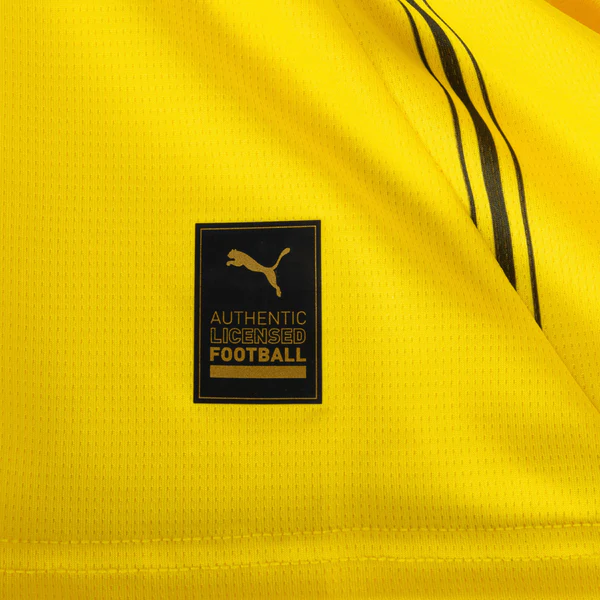 BORUSSIA DORTMUND HOME 24-25 6