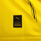 BORUSSIA DORTMUND HOME 24-25 6