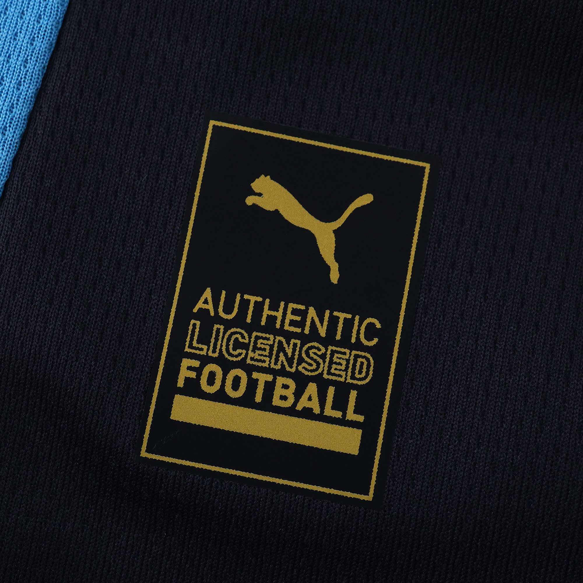 Camisola Alternativa Marselha 25/26 Puma - Preta/Azul 5