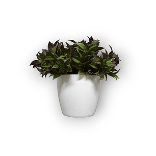 Matero Plástico 17 cm