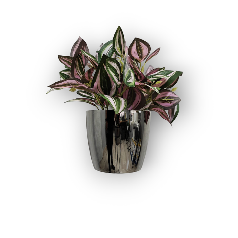 Matero Plástico Metalizado 17 cm 3