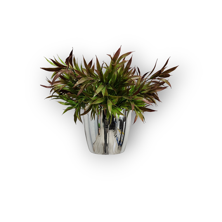 Matero Plástico Metalizado 17 cm 5