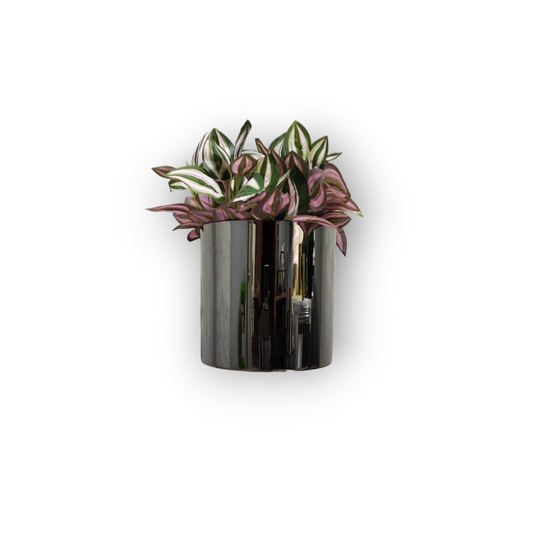 Matero Plástico Cilindro Metalizado de 21 cm 5