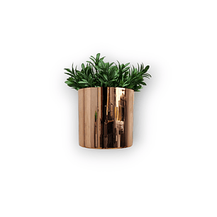 Matero Plástico Cilindro Metalizado de 21 cm