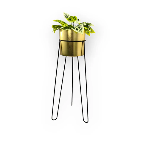 Base Draco 70 cm Con Matero Cilindro Metalizado