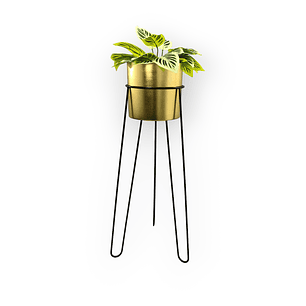 Base Draco 70 cm Con Matero Cilindro Metalizado