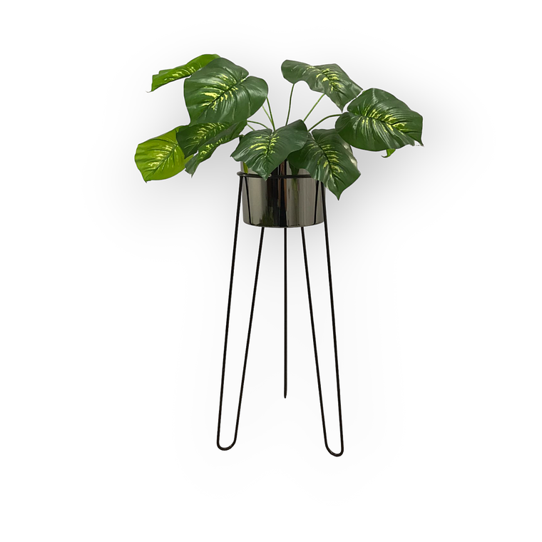 Base Draco 70 cm Con Matero Cilindro Metalizado 3