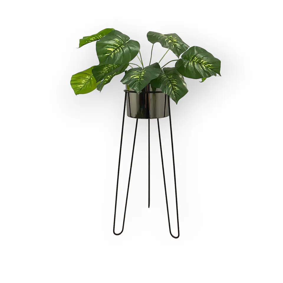 Base Draco 70 cm Con Matero Cilindro Metalizado 3