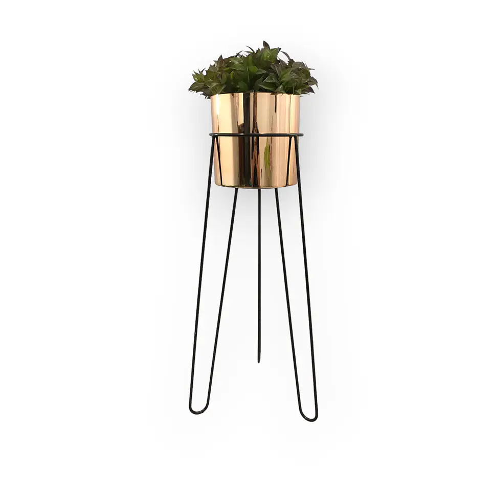 Base Draco 70 cm Con Matero Cilindro Metalizado 4
