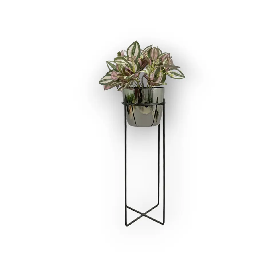 Base Celeste 50cm Con Matero Metalizado 4