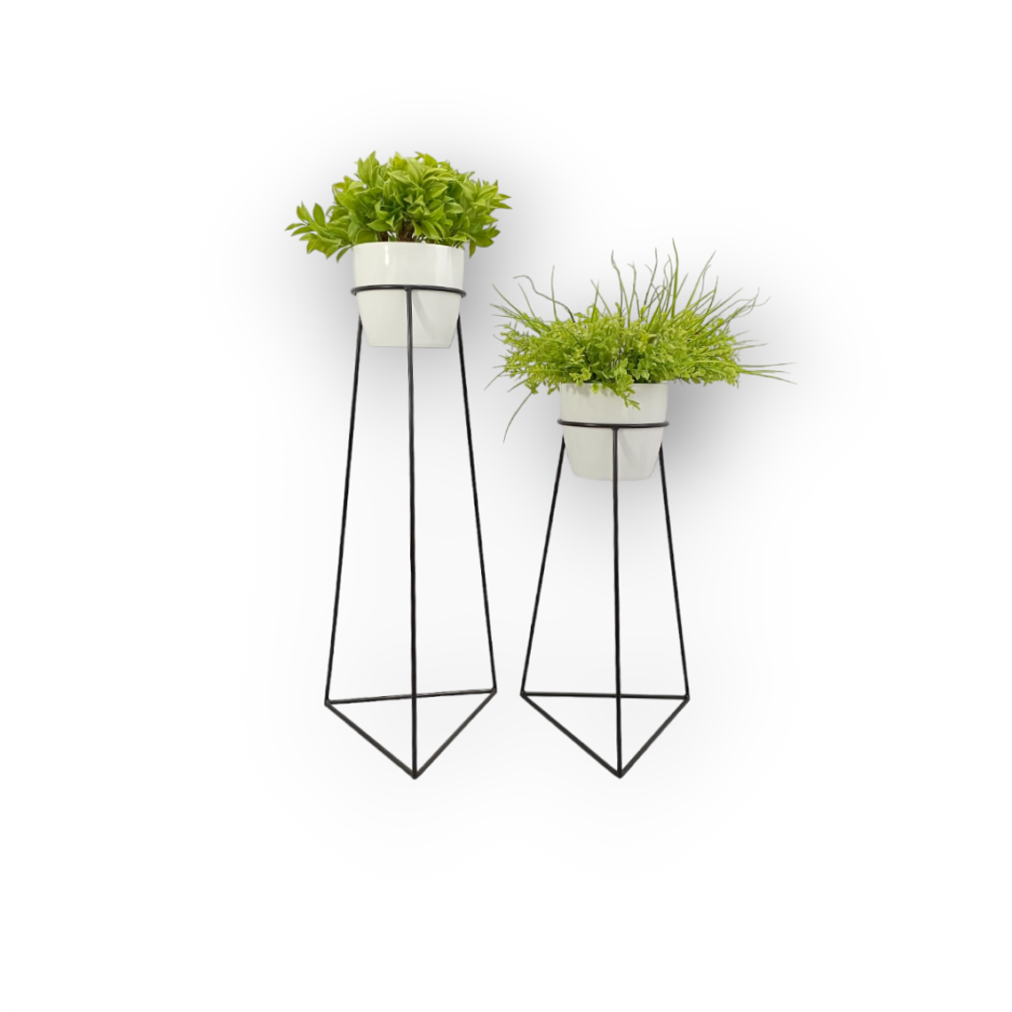 Set Hidry Con Matero Plástico  1