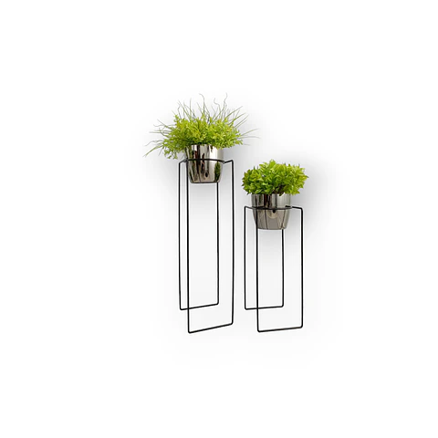 Set Base Vega Con Matero Metalizado