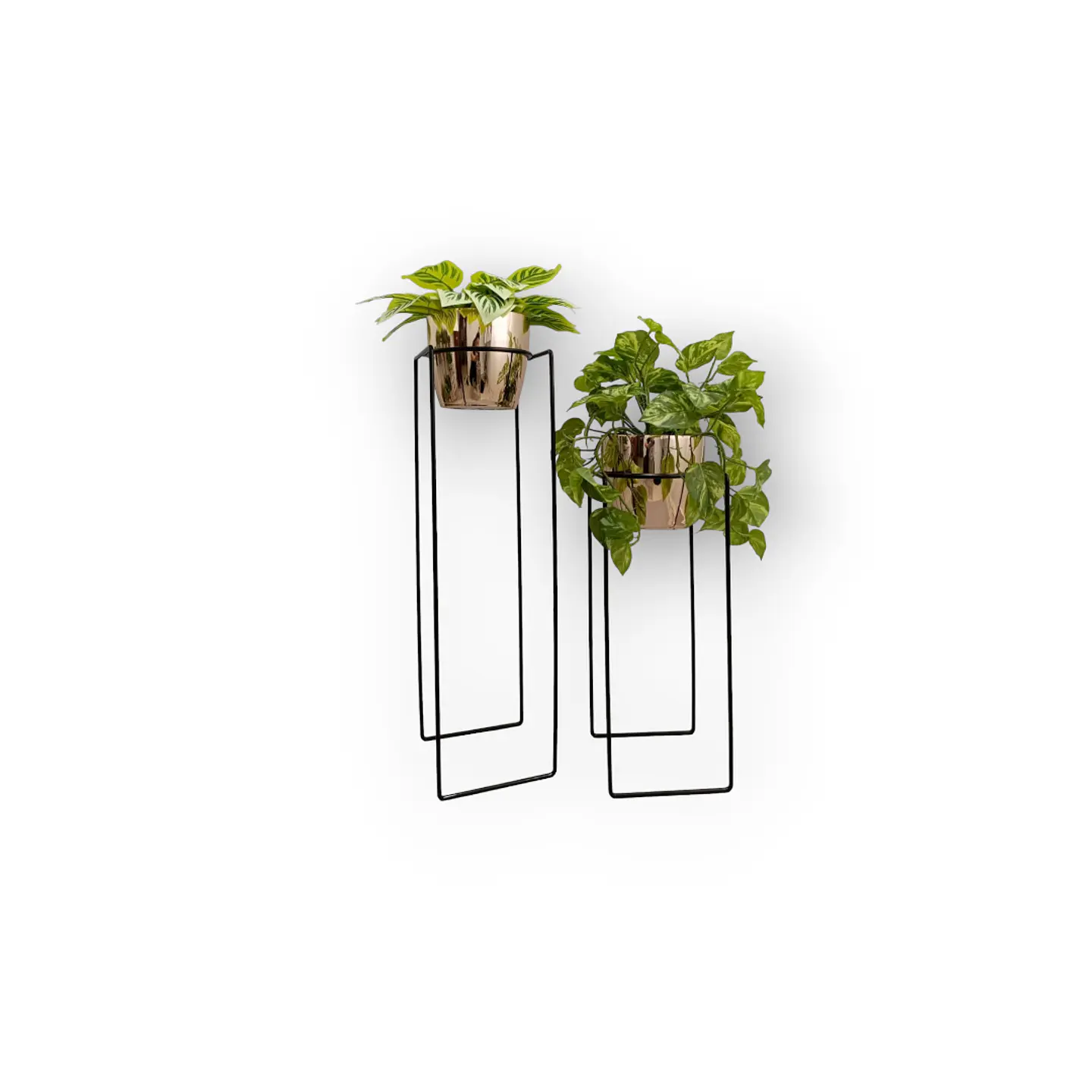 Set Base Vega Con Matero Metalizado 5