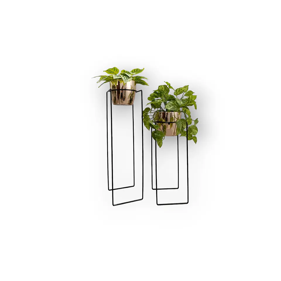 Set Base Vega Con Matero Metalizado 5