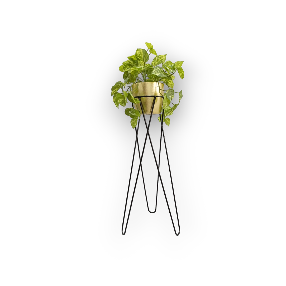 Base Nova 70 cm Con Matero Metalizado 2