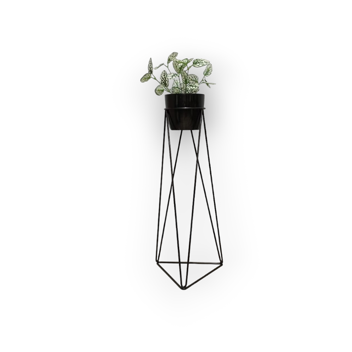 Soporte para Plantas Acamar 70 cm - Diseño Geométrico Minimalista (Incluye Matera) 4