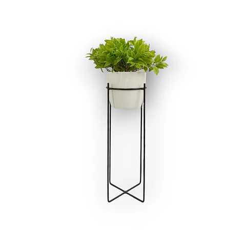 Base Celeste 50 cm Con Matero Plástico 
