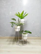 Soporte para Plantas Dumar de 3 Niveles - Incluye Materas - Miniatura 5
