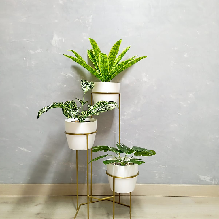 Base Dumar con 3 Materos Plásticos 6