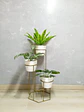 Soporte para Plantas Dumar de 3 Niveles - Incluye Materas - Miniatura 6