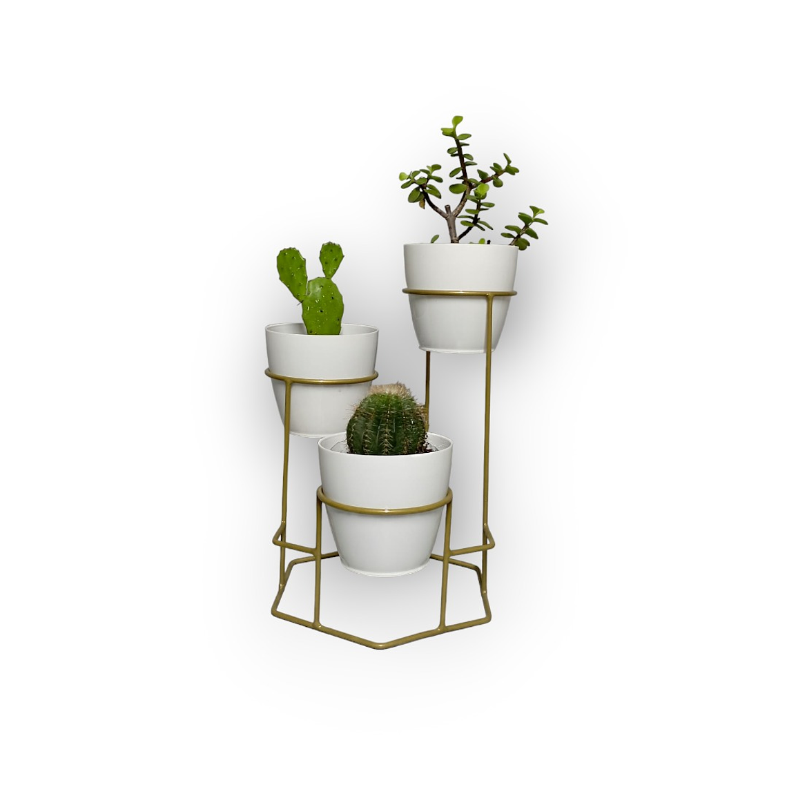 Soporte Mini Dumar con Materos Plasticos 9