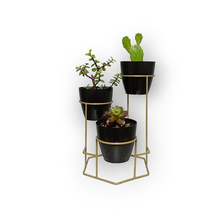 Soporte Mini Dumar con Materos Plasticos 10