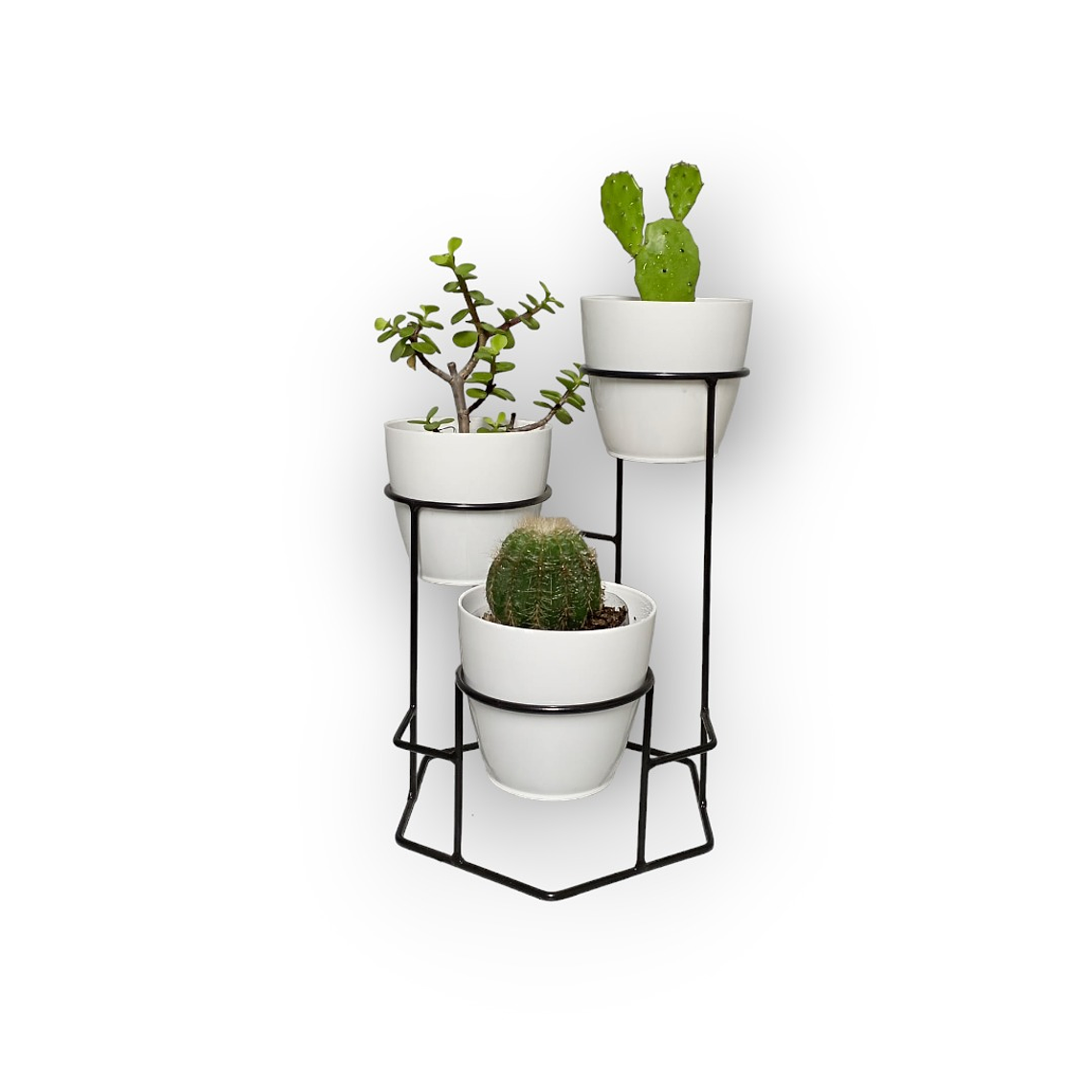 Soporte Mini Dumar con Materos Plasticos 7