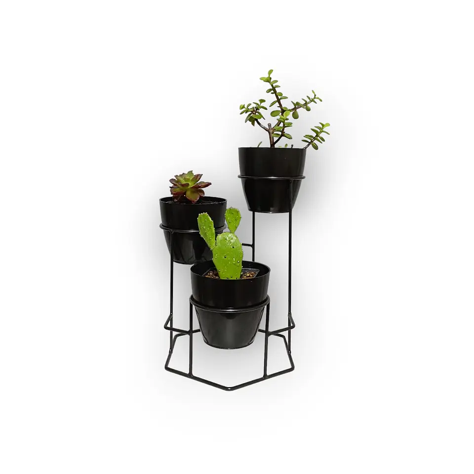 Soporte Mini Dumar con Materos Plasticos 8