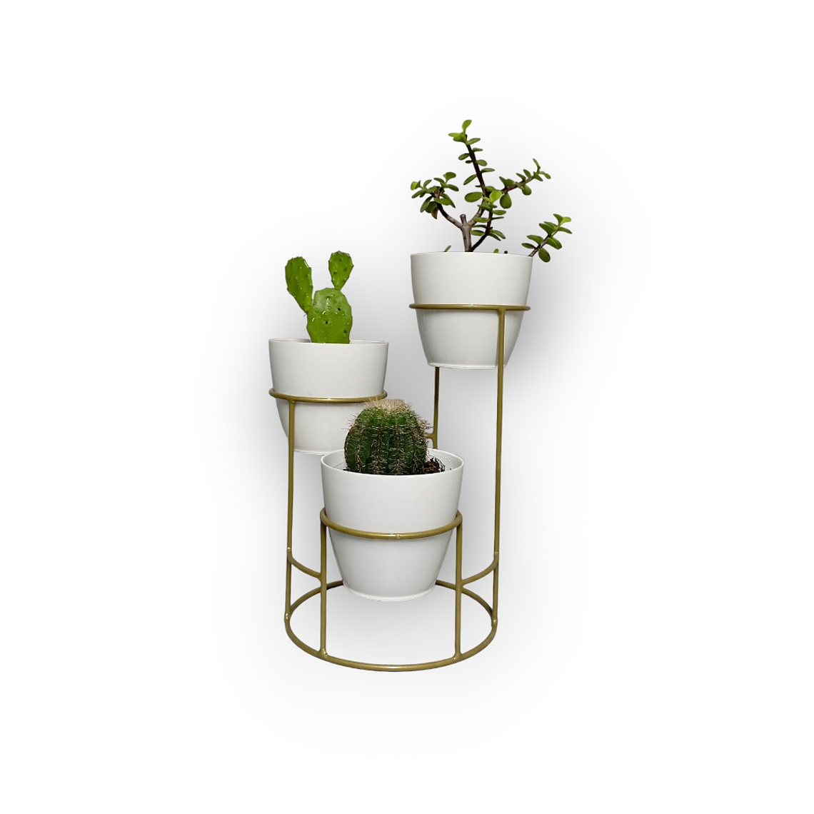 Soporte Mini Dani con 3 Materos Plasticos 6