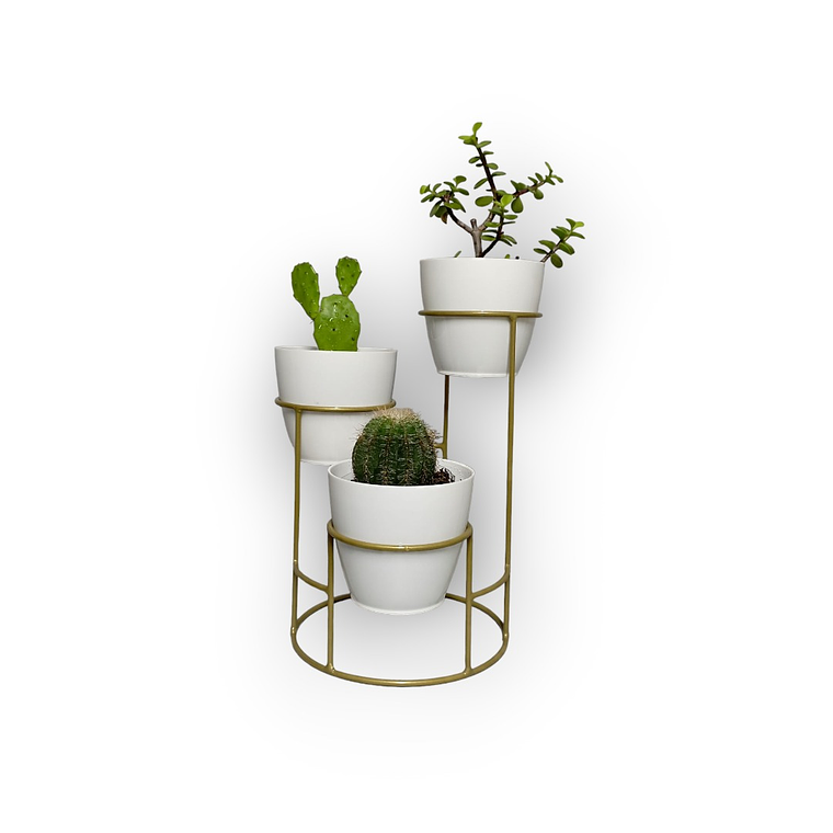 Soporte Mini Dani con 3 Materos Plasticos 6