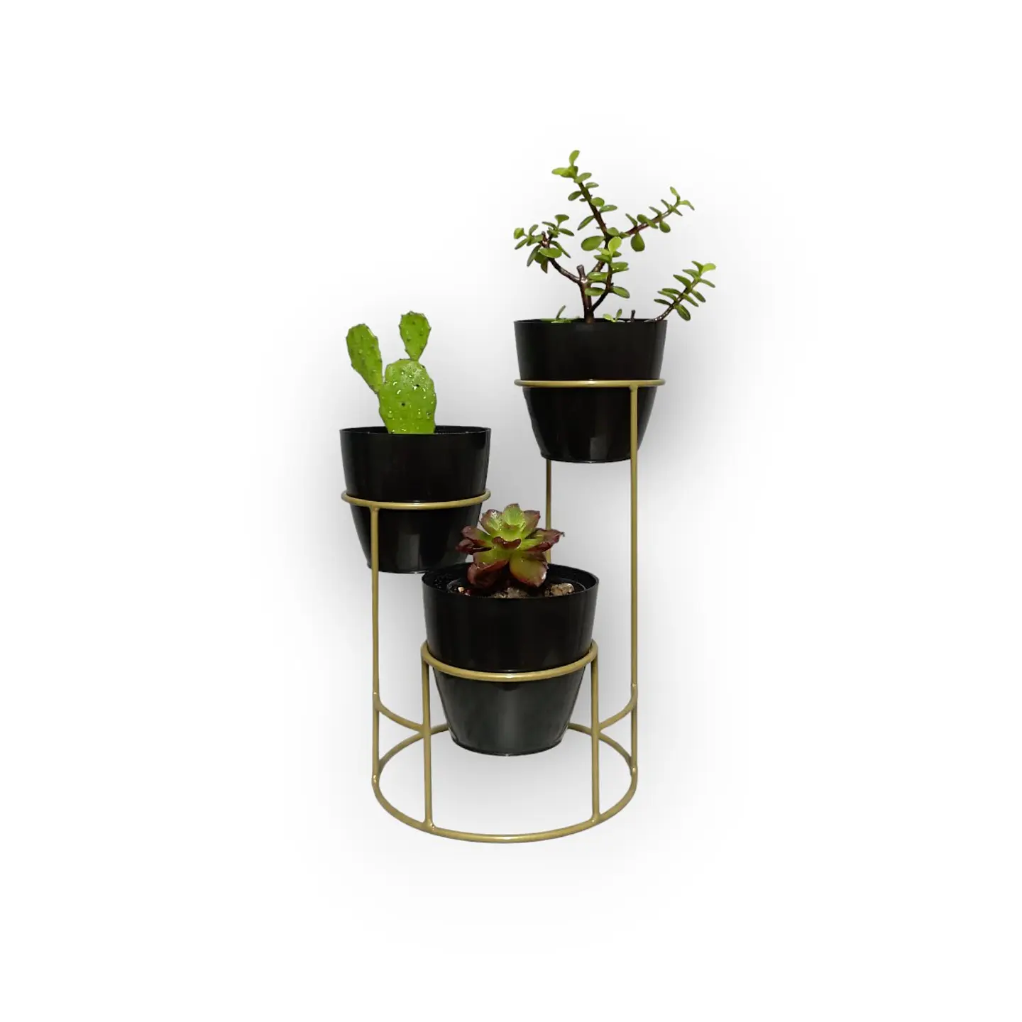 Soporte Mini Dani con 3 Materos Plasticos 7