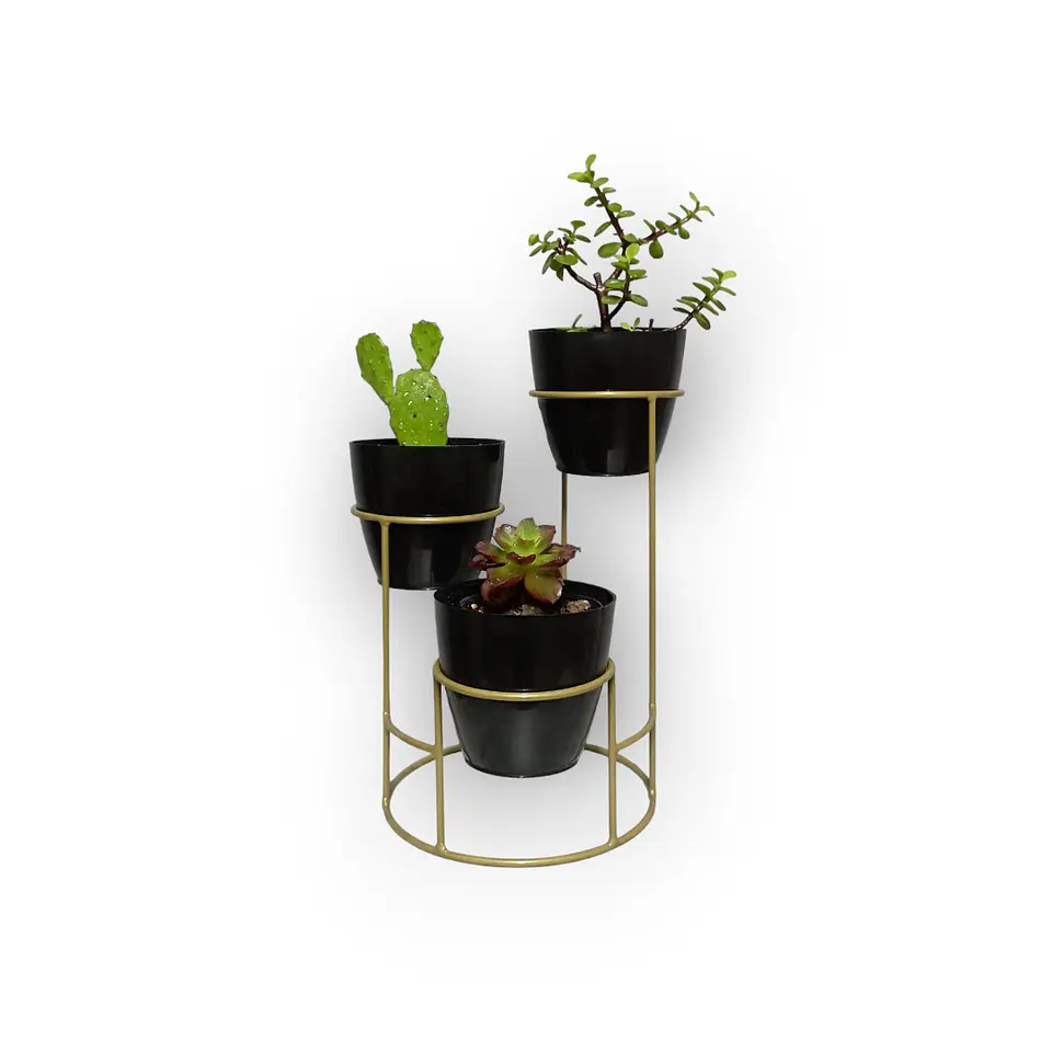 Soporte Mini Dani con 3 Materos Plasticos 7
