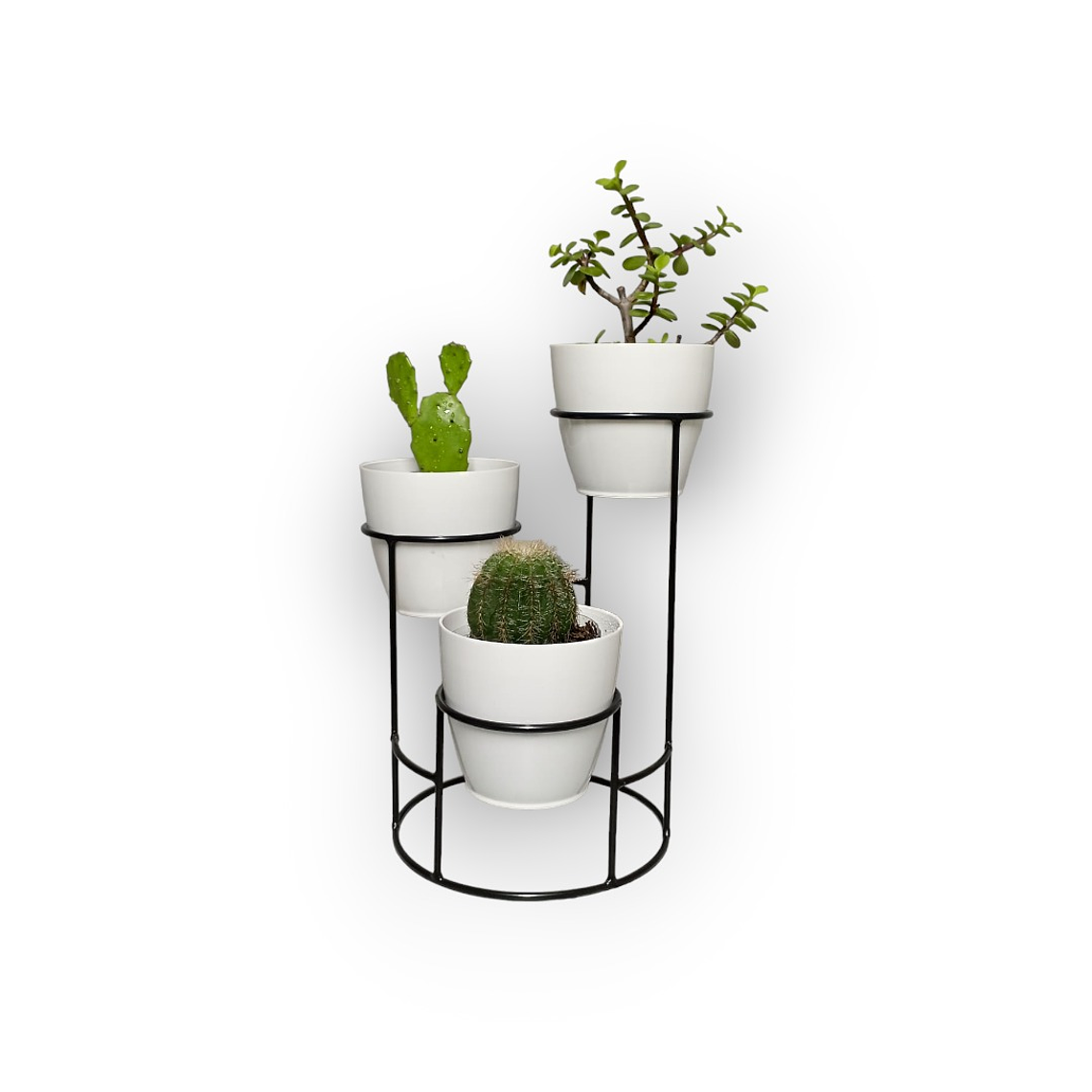 Soporte Mini Dani con 3 Materos Plasticos 5