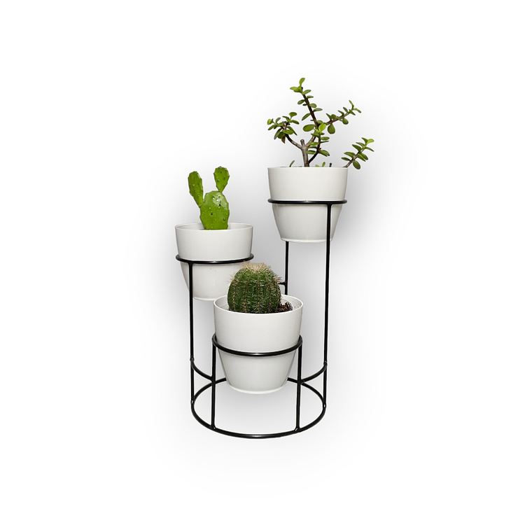 Soporte Mini Dani con 3 Materos Plasticos 5