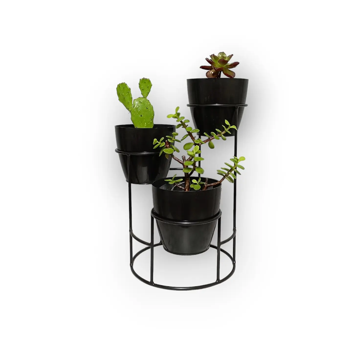 Soporte Mini Dani con 3 Materos Plasticos 8